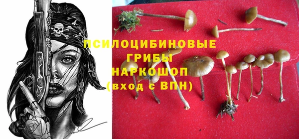 MDMA Богородицк