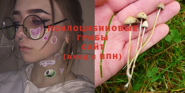 а пвп мука Богородск
