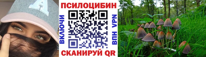 дарнет шоп Котовск Псилоцибиновые грибы MAGIC MUSHROOMS
